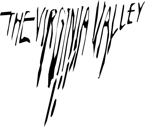 The vv shop